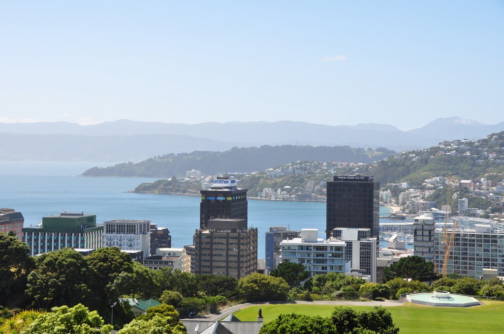 View of Wellington from the Botanic Garden